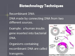 Biotechnology Techniques Recombinant DNA DNA made by connecting