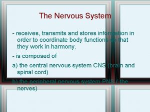 The Nervous System receives transmits and stores information