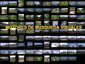 MOTORES DE BUSQUEDA VISUALES Ya que la internet