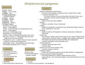Streptococcus pyogenes Characteristics Symptoms v Gram Positive v