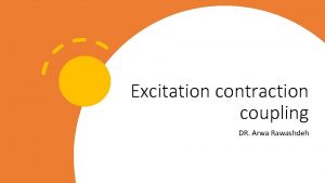 Excitation contraction coupling DR Arwa Rawashdeh Skeletal Muscle