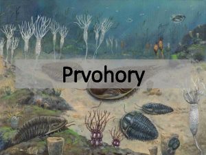 Prvohory Prvohory ra TRILOBIT ped 590 250 miliony