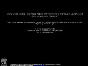 Nitric Oxide Inhibits Peroxidase Activity of Cytochrome c