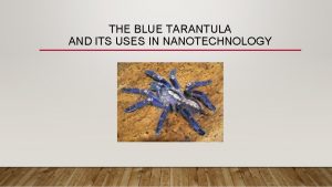 THE BLUE TARANTULA AND ITS USES IN NANOTECHNOLOGY