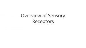 Overview of Sensory Receptors Agenda Somatosensory touch proprioception