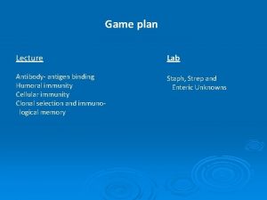 Game plan Lecture Lab Antibody antigen binding Humoral