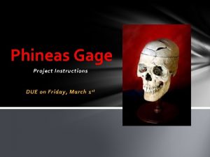 Phineas Gage Project Instructions DUE on Friday March