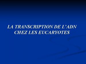 LA TRANSCRIPTION DE LADN CHEZ LES EUCARYOTES 1