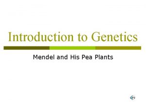 Introduction to Genetics Mendel and His Pea Plants