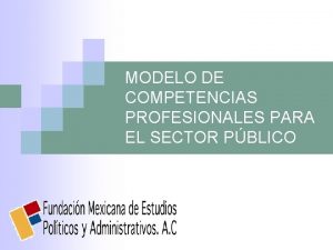 MODELO DE COMPETENCIAS PROFESIONALES PARA EL SECTOR PBLICO