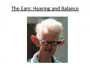 The Ears Hearing and Balance External ear o