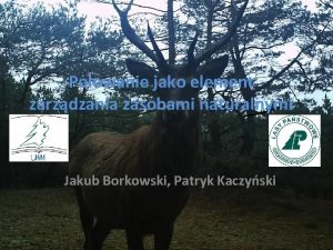 Polowanie jako element zarzdzania zasobami naturalnymi Jakub Borkowski