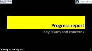 Progress report Key issues and concerns K Long