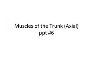 Muscles of the Trunk Axial ppt 6 Muscles