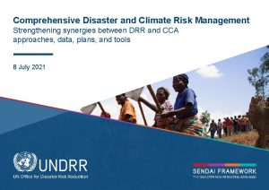 Comprehensive Disaster and Climate Risk Management Strengthening synergies
