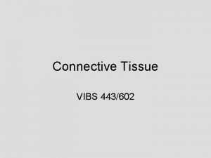 Connective Tissue VIBS 443602 Very loose connective tissue