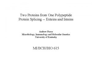 Two Proteins from One Polypeptide Protein Splicing Exteins