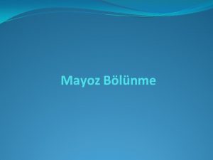 Mayoz Blnme Mayoz Blnme Nedir 2 n kromozomlu