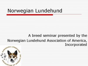 Norwegian Lundehund A breed seminar presented by the