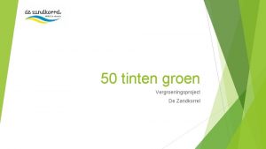 50 tinten groen Vergroeningsproject De Zandkorrel Voor hoekje