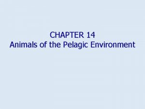 CHAPTER 14 Animals of the Pelagic Environment How