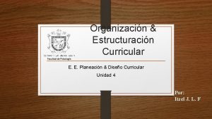 Organizacin Estructuracin Curricular Facultad de Psicologa E E