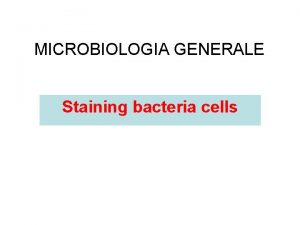 MICROBIOLOGIA GENERALE Staining bacteria cells Staining bacteria cells