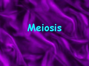 Meiosis Meiosis Meiosis is the cell division which