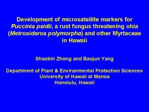 Development of microsatellite markers for Puccinia psidii a