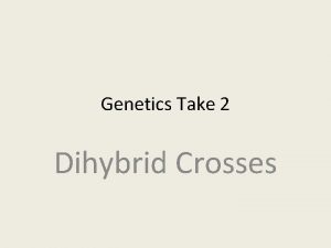 Genetics Take 2 Dihybrid Crosses Monohybrid vs Dihybrid