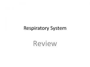 Respiratory System Review Review OxygenO 2 is provided