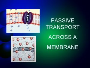 PASSIVE TRANSPORT ACROSS A MEMBRANE Overview of Passive