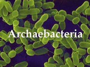Archaebacteria Archaebacteria Prokaryote no nucleus Onecelled singlecelled or