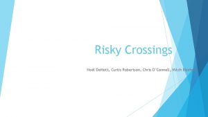 Risky Crossings Nol De Mott Curtis Robertson Chris