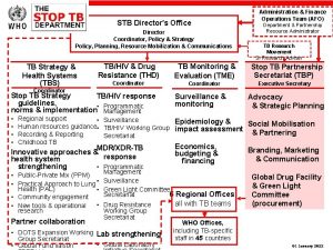 STB Directors Office Director Coordinator Policy Strategy Policy