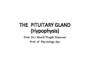 THE PITUITARY GLAND Hypophysis Prof Dr Sherif Wagih