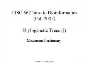CISC 667 Intro to Bioinformatics Fall 2005 Phylogenetic