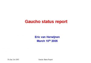 Gaucho status report Eric van Herwijnen March 10