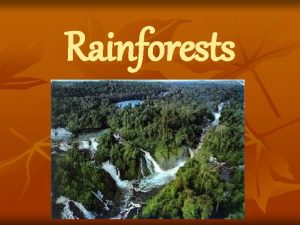 Rainforests Introduction Rainforests are known for their warm