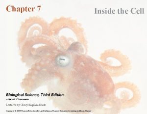 Chapter 7 Biological Science Third Edition Scott Freeman