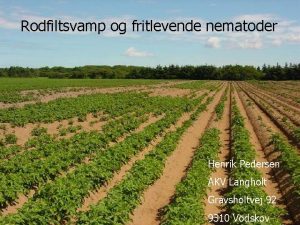 Rodfiltsvamp og fritlevende nematoder AKV LANGHOLT Henrik Pedersen