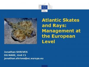 Atlantic Skates and Rays Management at the European