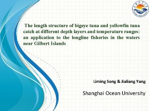 The length structure of bigeye tuna and yellowfin