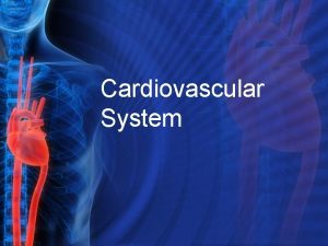 Cardiovascular System Functions Bodys delivery service Heart Pumps