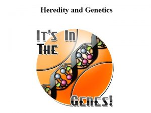 Heredity and Genetics Heredity and Genetics Every person