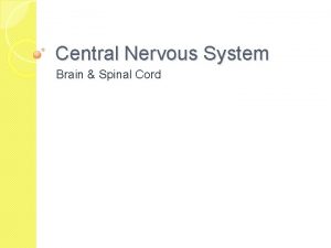 Central Nervous System Brain Spinal Cord Development of
