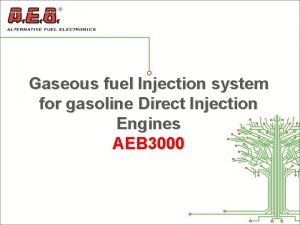 Gaseous fuel Injection system for gasoline Direct Injection