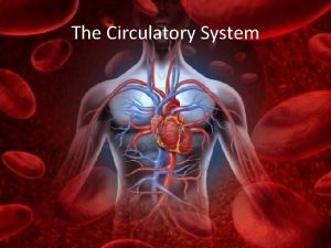 The Circulatory System The Circulatory System Your Circulatory