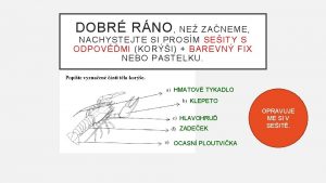 DOBR RNO NE ZANEME NACHYSTEJTE SI PROSM SEITY