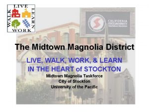 The Midtown Magnolia District LIVE WALK WORK LEARN